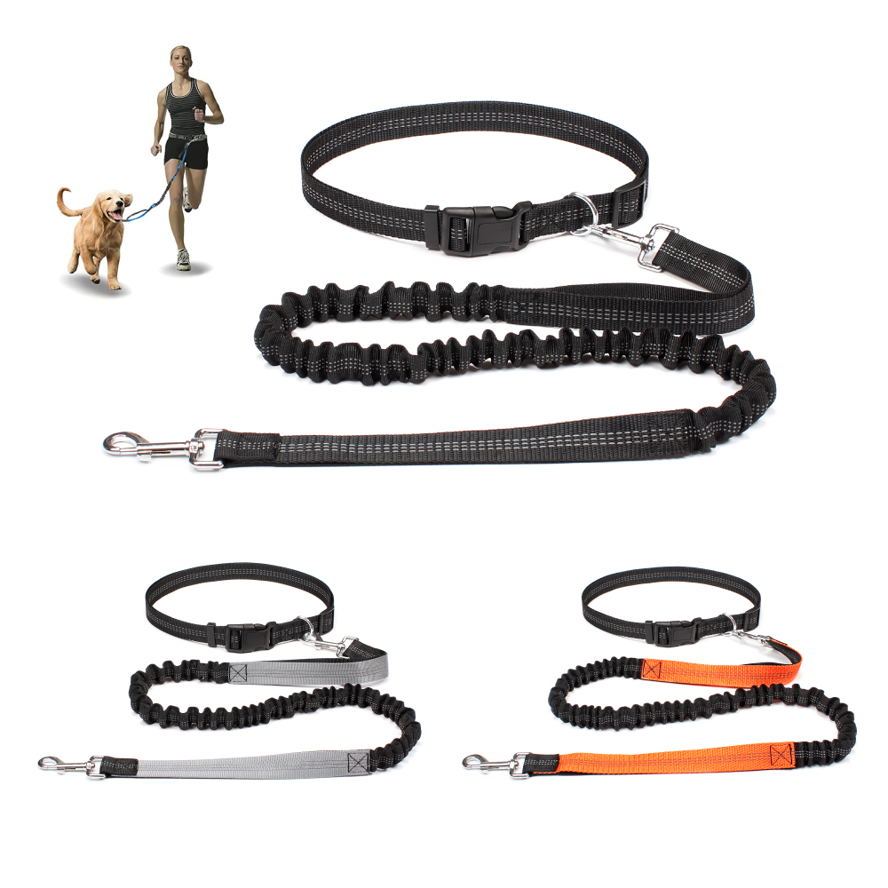 حزام كلب بدون استخدام اليدين ل - مراجعة Running Jogging Gear وسعره