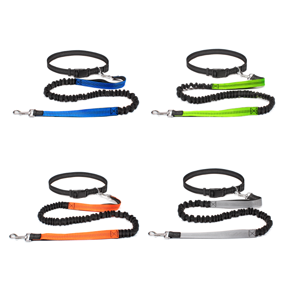 حزام كلب بدون استخدام اليدين ل - مراجعة Running Jogging Gear وسعره
